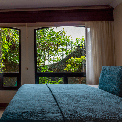 ROOMS IN THE CLOUD FOREST